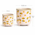 coleccion macetas decorativas limones