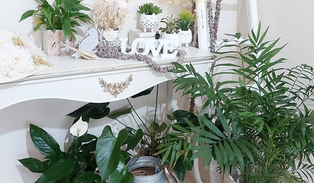 Recibidor de casa lleno de plantas en macetas grandes y mueble de color blanco con macetas animal y suculentas