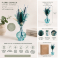 flores capsula atlantica desde galicia con jarron de vidrio