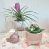 Macetas de cerámica decorativa en tonos nude para decorar bonito tu casa