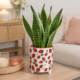 maceta decorativa fresas con planta decorando una salita de estar