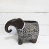 Original maceta elefante de la suerte para decorar tus rincones