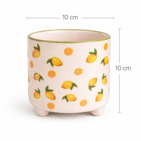 maceta limones 10x10cm de porcelana y con patitas
