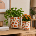 macetas decorativas estampado naranjas con plantas bonitas