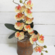 Orquídea de imitación hiperrealista en maceta de cerámica natural, arreglo elaborado en las Flores de Rita
