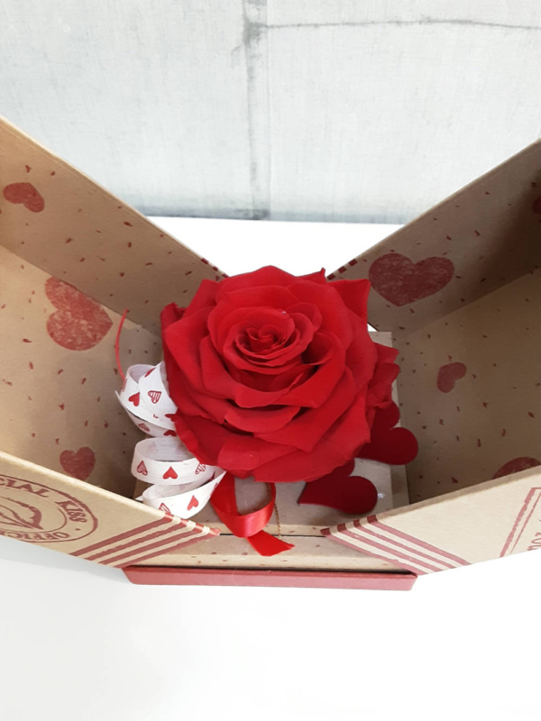Rosa roja eterna en caja para conservarla eternamente